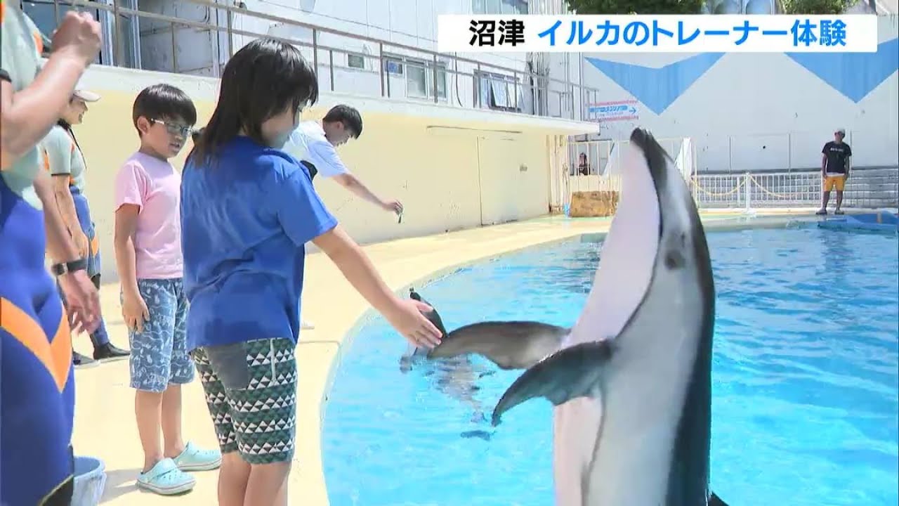 もう1回、もう10回ぐらいやりたい」サイン出して技に挑戦！イルカの