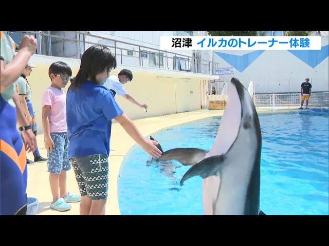 もう1回、もう10回ぐらいやりたい」サイン出して技に挑戦！イルカの