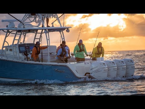 Saltwater Offshore and Inshore Fishing Boats 
