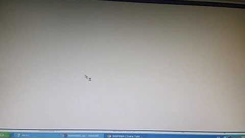 DataTable INSPINIA...