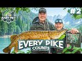 Iltasynti  every pike counts 2024 with kurre  episode 2