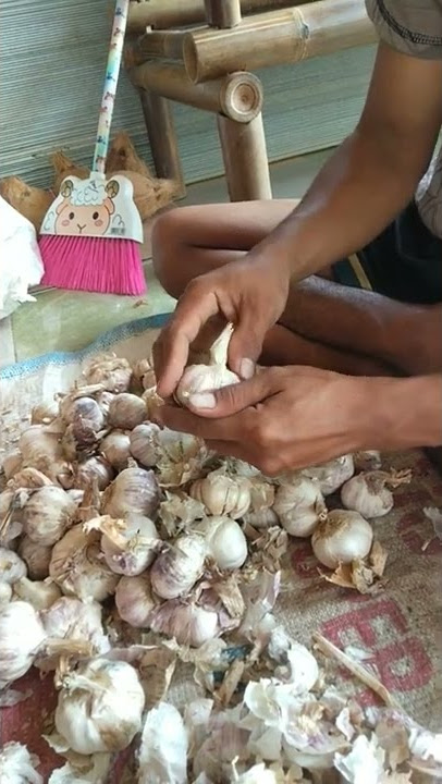 cara mengelupas bawang putih gaesss laki'juga bisa