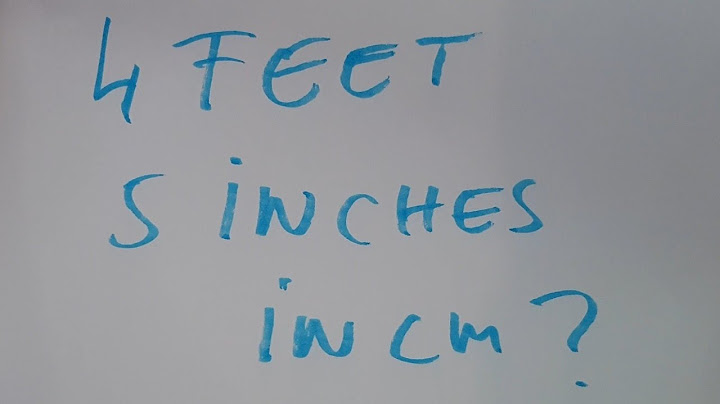 5 feet 4 là bao nhiêu mét năm 2024