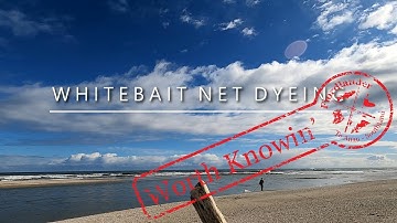 Whitebait Net Dyeing - October 2020 - Worth Knowin