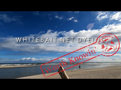 Whitebait Net Dyeing - October 2020 - Worth Knowin' 