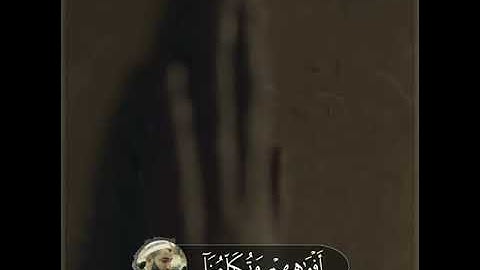 تلاوة خاشعة وآيات مباركة من سورة يس.📚/القارئ بريار أحمد الكردي../حالات واتس أب..