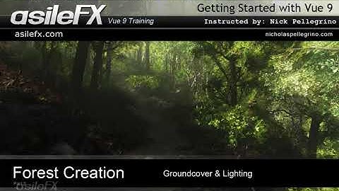 Vue Forest Creation - Groundcover & Lighting