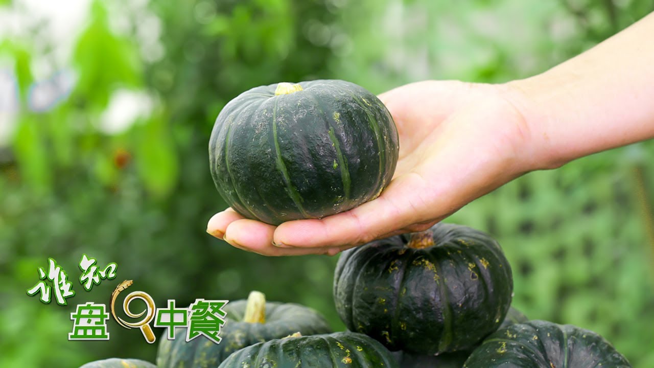 小南瓜自带板栗味儿 探秘贝贝南瓜的种植技巧 保证每一个都特别甜糯 谁知盘中餐 2328 Youtube 小南瓜自带板栗味儿 探秘贝贝南瓜的种植技巧 保证每一个都特别甜糯 谁知盘中餐 2328 Youtube