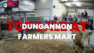 €2530.00!!! Dungannon Farmers Mart Top Sale