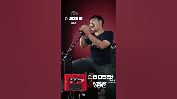 Boss ve 2 vocal harmonist ม อ สอง