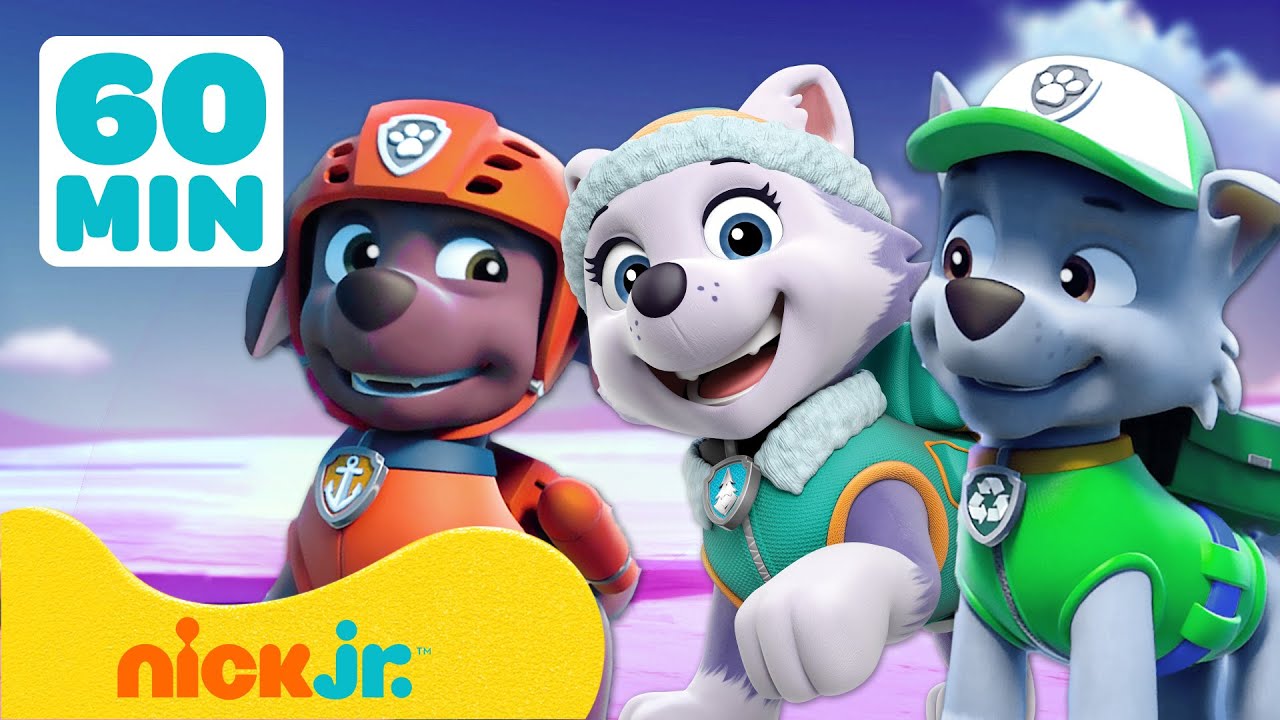 PAW Patrol | Wildreddingen met Zuma, Everest en Rocky! | 60 minuten | Nick Jr. Nederlands