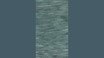 اغنيه يا زينة بصوت جيكا ضليت اشيل اشيل هموم 