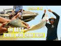 Hunting huge mudcrab and barramundi with kunjen men of far northern australia