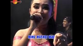 Rina Amelia Feat. Gundiks - Pokok'e Melu | Dangdut ( Music Video)