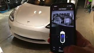 Tesla holiday update - Cabin camera and fart mode from mobile app. screenshot 1