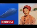 'We found an $1.5m ambergris fortune in a sperm whale's belly' - BBC News