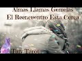 ✨LECTURA COMPLETA✨DE TU ALMA LLAMA GEMELA. EL RETORNO SE ACERCA