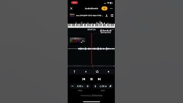 Squirrely theme song slowed and low pitched piggy custom character showcase