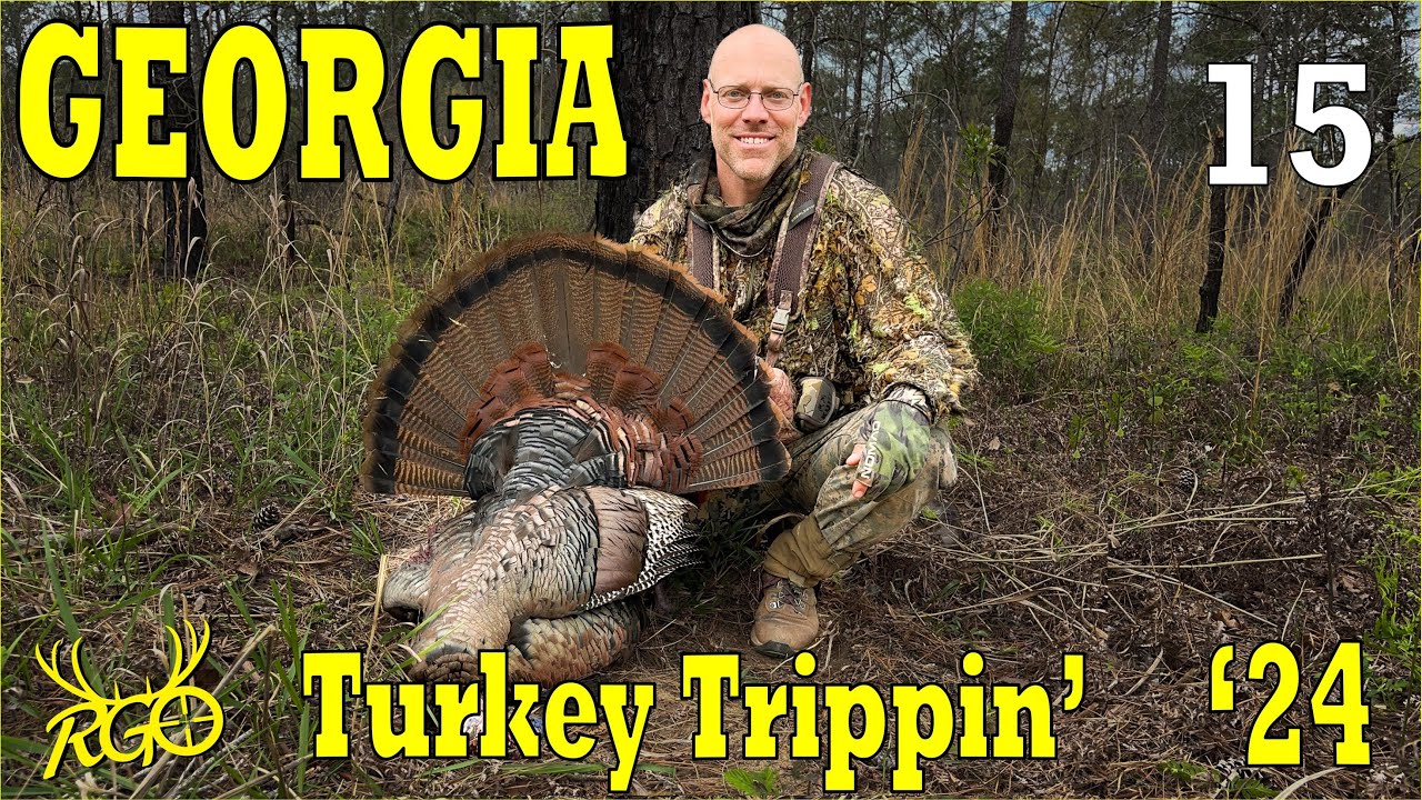 Turkey Roping Long-Spurred Gobbler Comes in on a Rope - Turkey Trippin' 2024 - RGO Ep ...