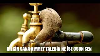 Hali̇n Ne İse Müşteri̇ Sen Oldun O Hale Resimi