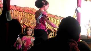 Padang Wulan BOJO LORO - Deska ft De Encus SEKAR BIMA