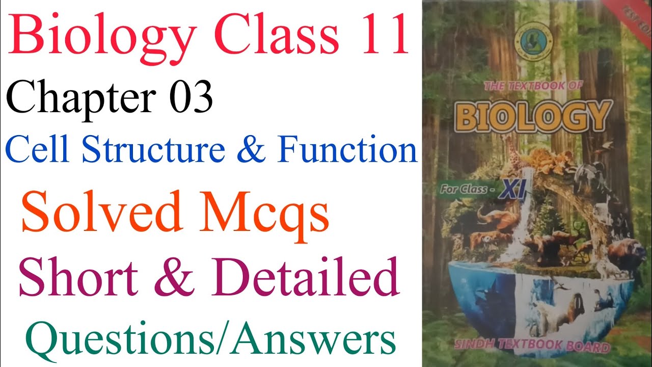 Biology Class 11 Chapter 03 Cell Structure & Function Complete Exercise ...