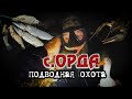 ОРДА. ПОДВОДНАЯ ОХОТА. РАКИ, ЩУКА, ЛИНЬ. ГУСИ НА ПРУДУ.