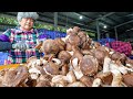 1500 kg per day technological mushroom farming factory    taiwan food factory