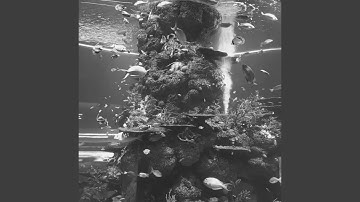 Pulsating Moods for Self Care