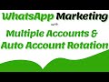 Multiple account with auto account rotation whatsapp bulk sender software with typing effect 