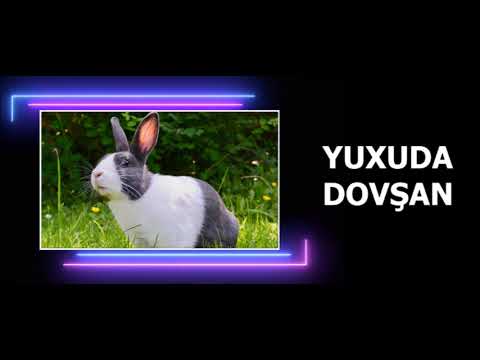 YUXUDA DOVŞAN GÖRMƏK