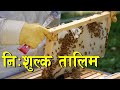         free bee farming training in nepal 