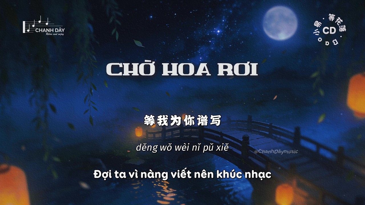 Video YouTube