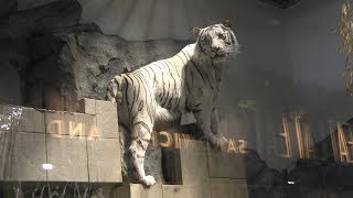 メカニカル タイガー 虎 MADE IN JAPAN ブリキ mqdefault.jpg