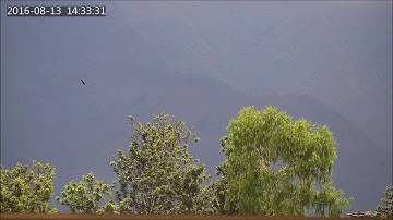 Uniview Starlight PTZ Camera Demo