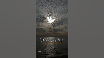 قارئ عبدالرحمن مسعد أجمل حالات واتس اب دينية سورة الحجرات يمنون عليك ان اسلموا...🌿🖤