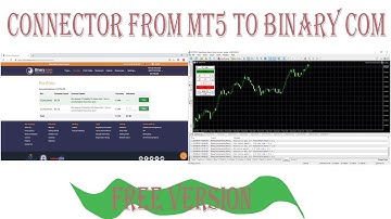 Binary Connector Demo Version