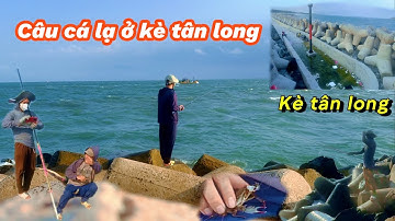 Câu cá lạ ở kè tân long Lagi Bình Thuận!@Longvlog86