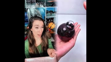 Good luck on your adventure, Connor🤣