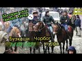 Бузкаши дехаи Чорбог 14 03 2021 #обуна #шавид 👍🇹🇯 #монид