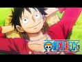 Le vrai rve de luffy  one piece