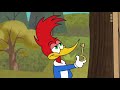 Woody Woodpecker En Francais Compilation De 15 Minutes NOUVELLE Serie Dessin Anime