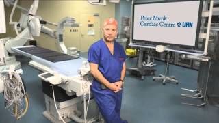 Celebrity Peter Munk Cardiac Centre Wealth