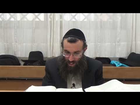 האם הזיווג דאב''א נעשה ע''י התחתונים  | שער הנקודים פרק ו חלק 7 | הרב סיבוני | אוצרות חיים המבואר 64