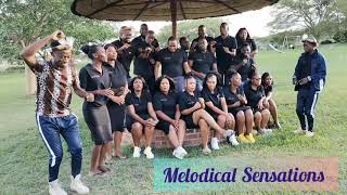 Lwah Ndlunkulu ft. Sjava & SiyaNtuli- Home. Cover by Melodical Sensations