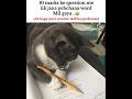 funny exams #memes #exams #funny