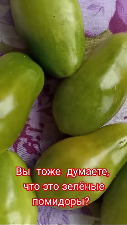 "Изумрудный Самоцвет" Первый раз ела такие помидоры. - YouTube