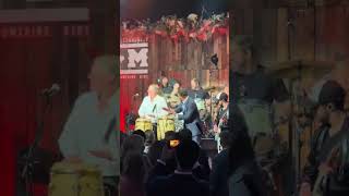 Matthew McConaughey plays the bongos at Luke Combs concert #shorts