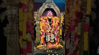 because u are god choosing child 🙏 OM Muruga 🙏🦚#eshavlogs