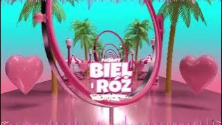 NOMY - Biel i Róż (WOJTULA REMIX)